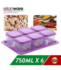 Elianware Kuih Raya Cookies Snacks Airtight Container with Tray (6 Pcs)