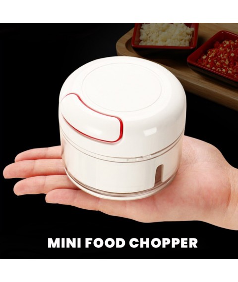 Mini Food Chopper