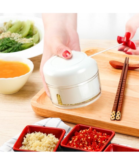 Mini Food Chopper