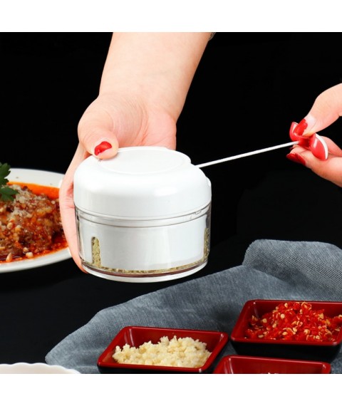 Mini Food Chopper