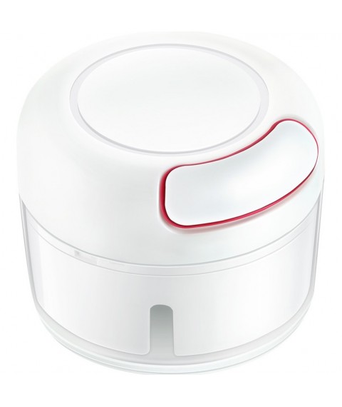 Mini Food Chopper