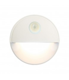 LED Motion Sensor Light