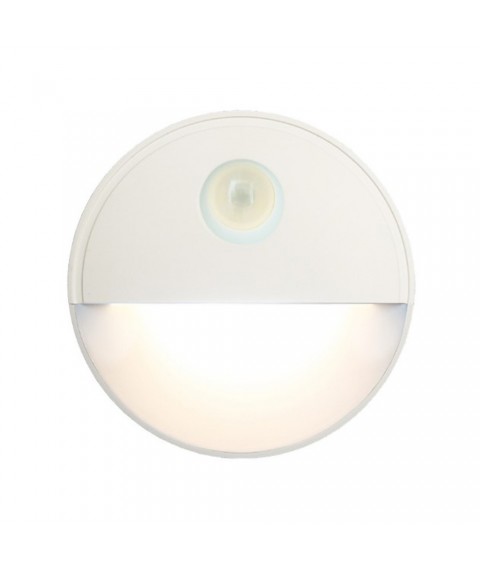 LED Motion Sensor Light