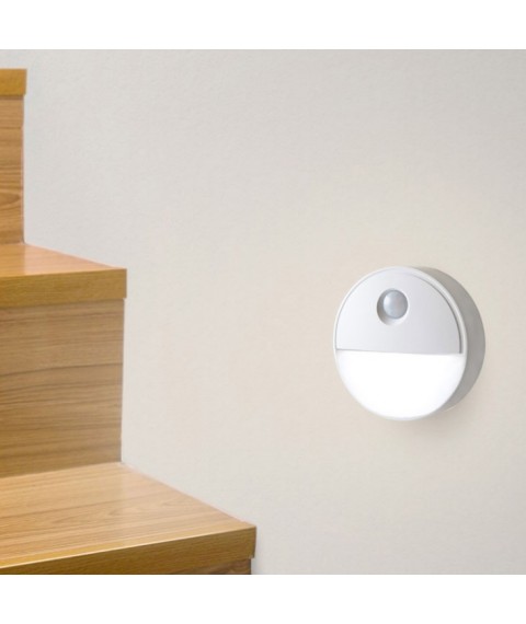 LED Motion Sensor Light