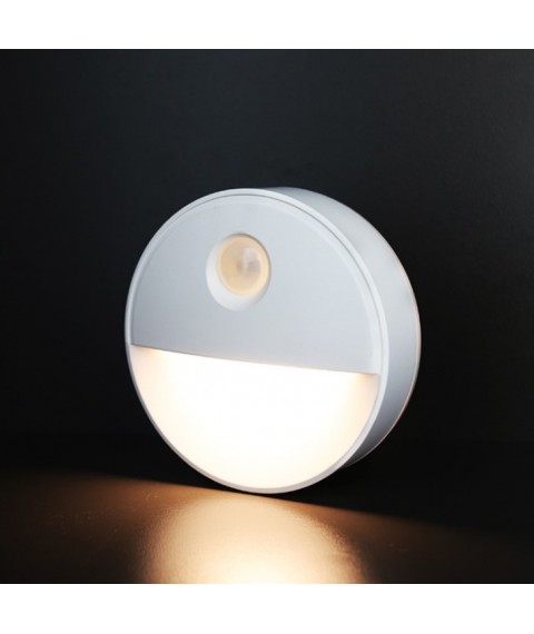 LED Motion Sensor Light