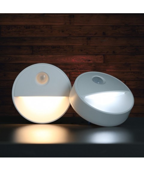 LED Motion Sensor Light